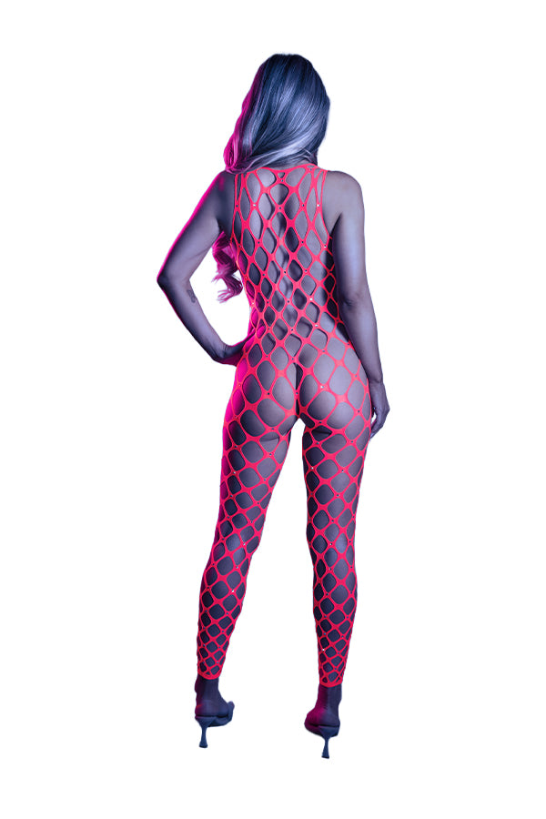 Want It All Reversible Rhinestone Bodystocking & Pasties